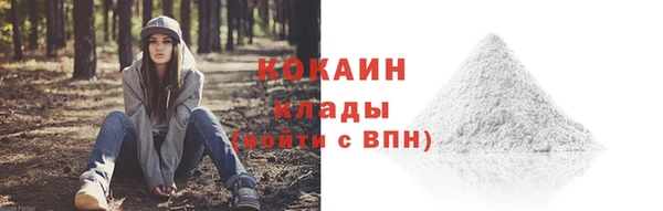 сатива Каменногорск