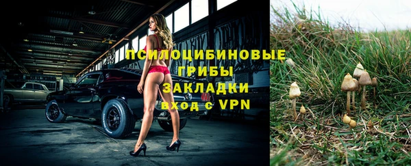 круглые Каменка
