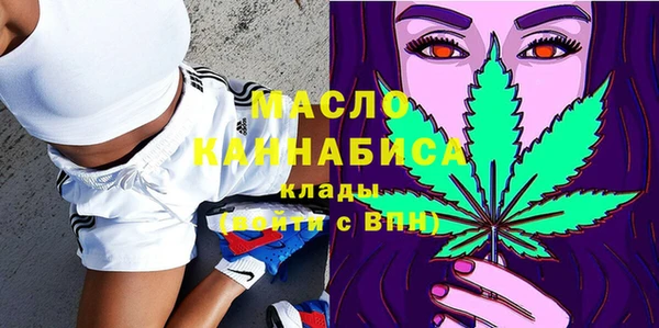 сатива Каменногорск