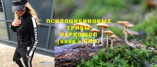 круглые Каменка