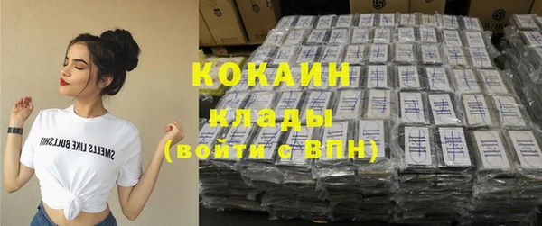 сатива Каменногорск
