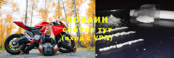 хмурый Карпинск