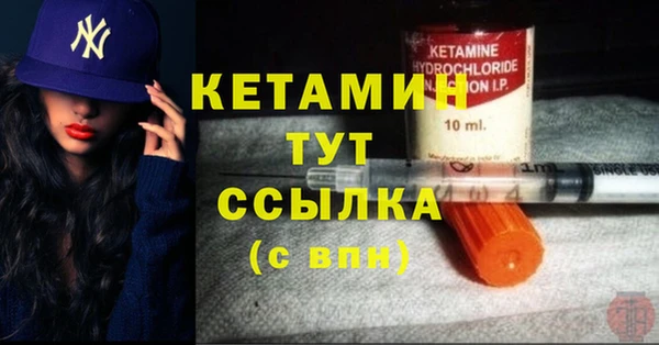 сатива Каменногорск